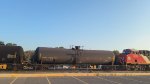 CGTX 31210